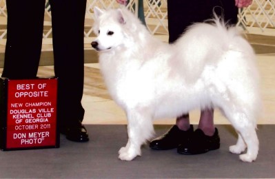 CH Nuuktok's Thundrpas Artemis