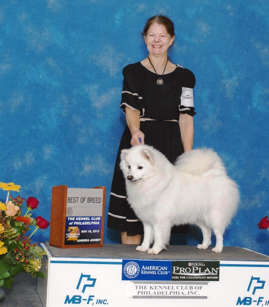 BEST OF BREED at the Philadelphia Kennel Club
